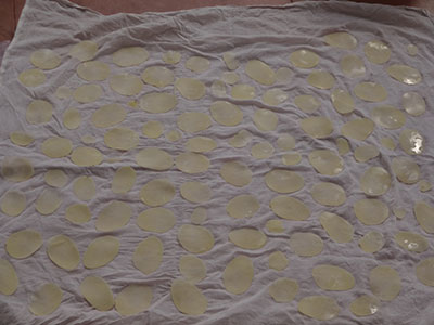 drying potato slices for sun dried potato chips or aloo chips