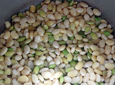 hisukida avarekalu or beans for hitikida avarekalu saaru