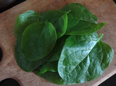 malabar spinach leaves for basale soppu thambli or malabar spinach tambli