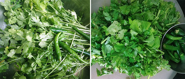 wash and chop coriander leaves for coriander leaves chutney
