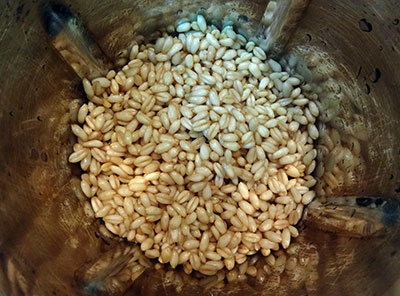 grind wheat for godhi dose or whole wheat dosa