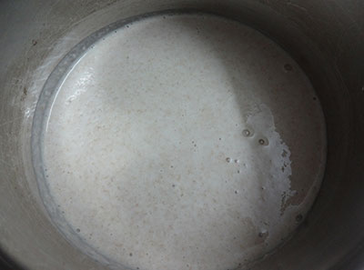 batter for godhi dose or whole wheat dosa