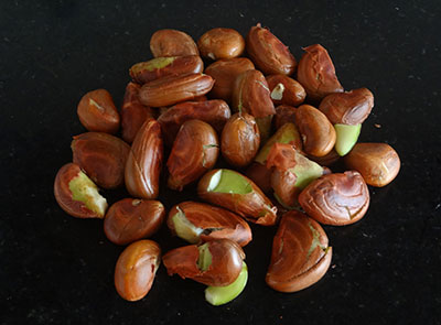 peeling jackfruit seeds for halasina beejada saaru or jackfruit seeds rasam