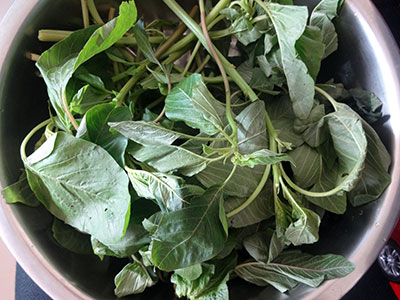 amaranthus leaves for harive soppu or dantu soppu saaru