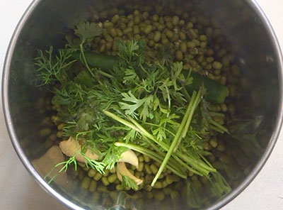 coriander leaves for hesarukalu chapathi or moong paratha