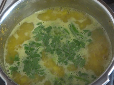 coriander leaves for nimbe hannu saaru or lemon rasam