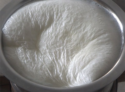 milk to make butter and ghee at home