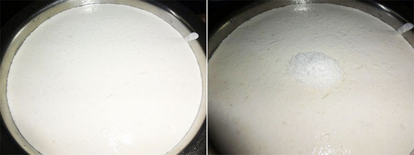 fermenting masala dosa batter