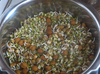 sprouts for molake kalu saaru or sprouts gravy