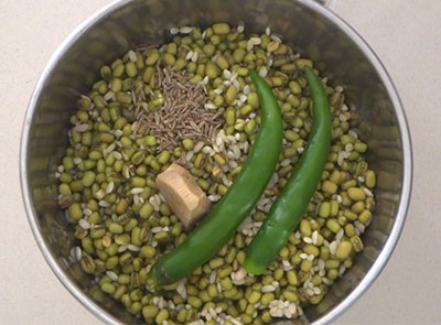 soaked ingredients in mixer grinder for hesaru kalu dose or pesarattu dosa