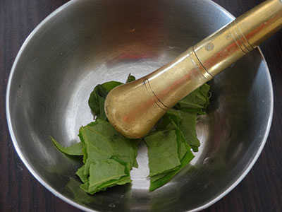 betel leaf and tulsi leaves for chest congestion or kapha