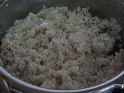cooked millet or siridhanya for mosaranna or curd rice