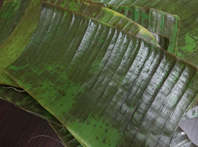 banana leaves for southe gatti or cucumber dumplings