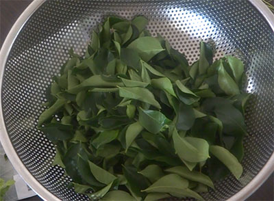 picking curry leaves to store it for long time