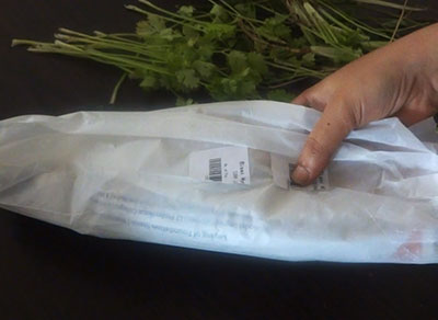 storing coriander leaves for long time