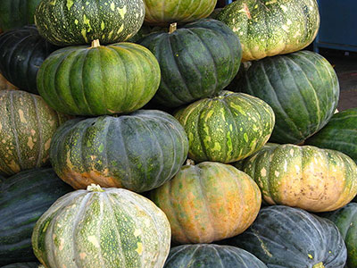 pumpkin names and recipes