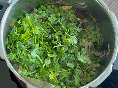 pudina and mint leaves for hasi batani pulav recipe or green peas or matar pulao