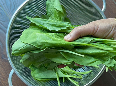 palak leaves for palak soppu tambli recipe or spinach tambuli